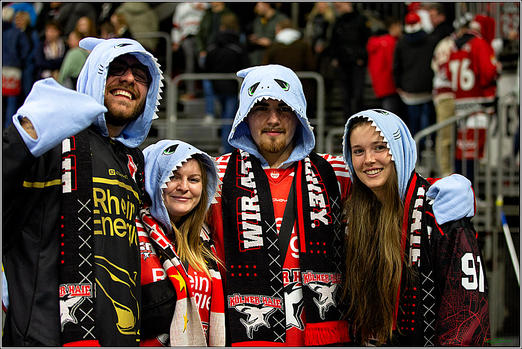 PENNY DEL; Koelner Haie- Iserlohn Roosters; Koeln, 27.11.2022